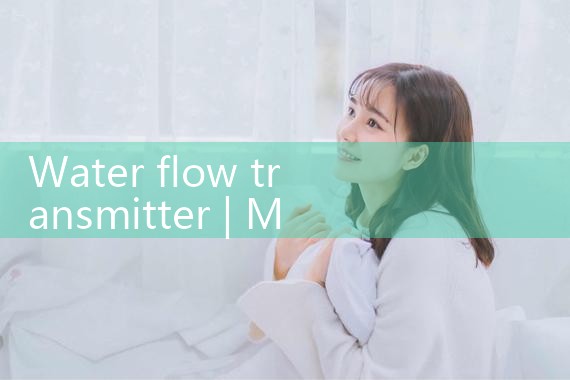 water flow transmitter|mass flowmeter