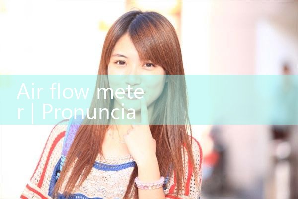 air flow metre|mass flowmeter