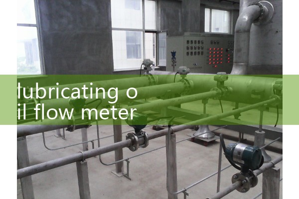 lubricating oil flow meter DN25