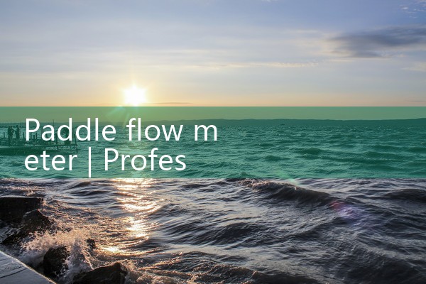 paddle flow meter|coriolis mass flow meter
