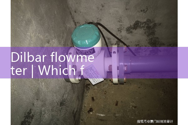 Dilbar flowmeter