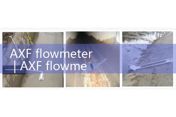 AXF flowmeter