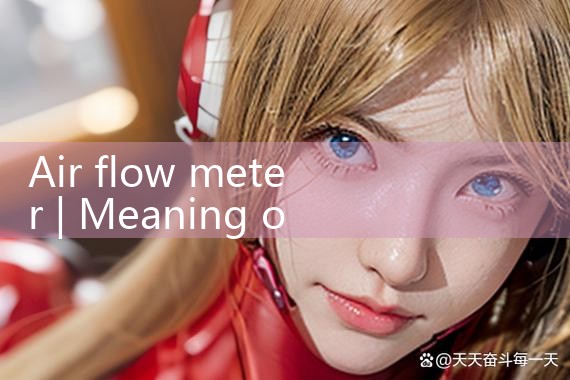air flow meter|coriolis mass flow meter