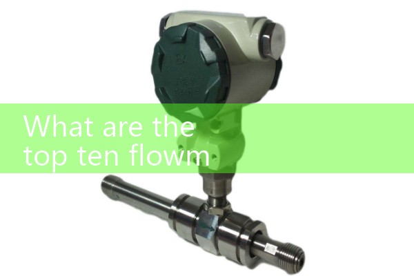 Ranking of flowmeter manufacturers