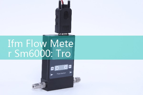 Ifm Flow Meter Sm6000: Troubleshooting Internal Circuit Faults, Empty Pipe Warnings, and Signal Alarms