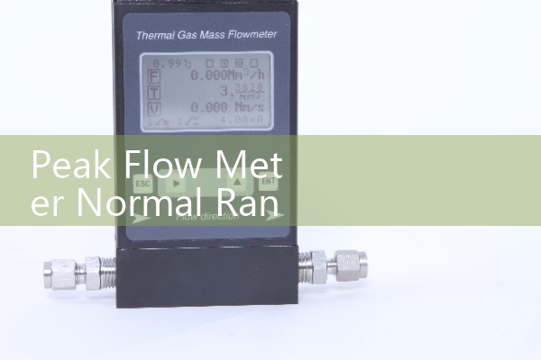Peak Flow Meter Normal Ranges: Asthma Action Plan Green Zones