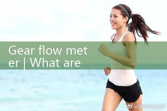 gear flow meter|mass flowmeter