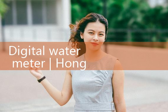 digital water meter|mass flowmeter
