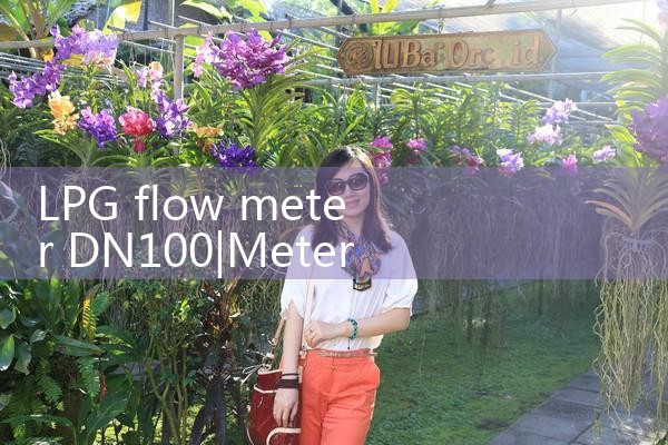 LPG flow meter DN100|arduino flow meter