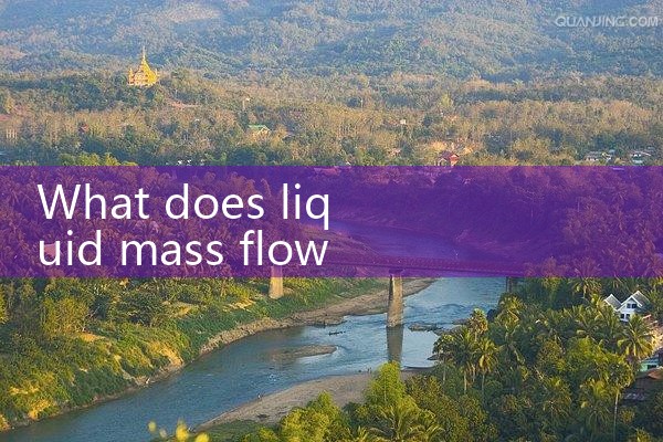 liquid mass flow meter|mass flowmeter