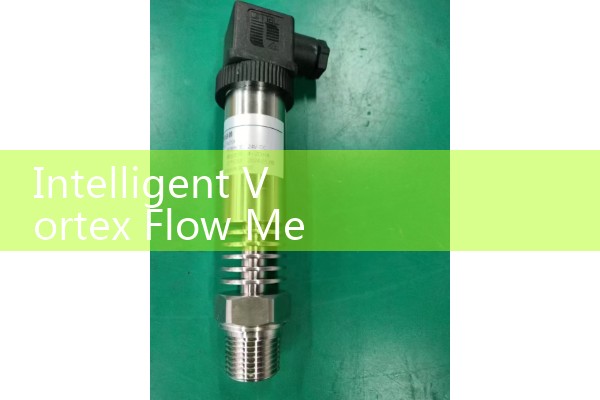 Intelligent Vortex Flow Meter Manual