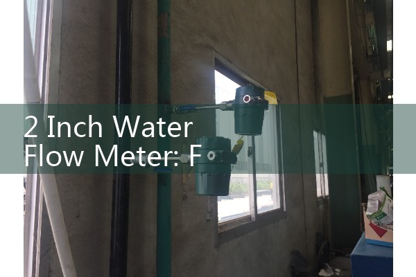 2 Inch Water Flow Meter: Flanged Heavy Industrial Utility Sensors