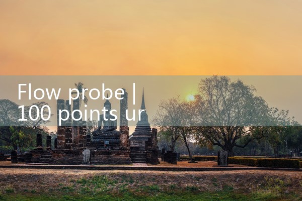 flow probe|coriolis mass flow meter