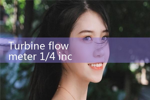 turbine flow meter 1/4 inch|vortex flow meter