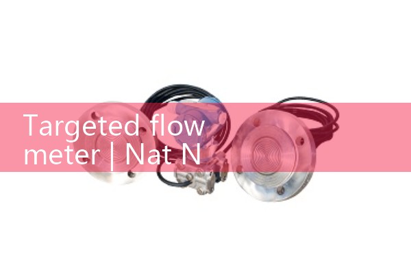 Manufacturer of air flow meter