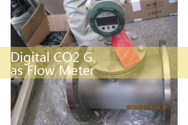 Digital CO2 Gas Flow Meter: Smart LCD Electronic Carbon Dioxide Sensors