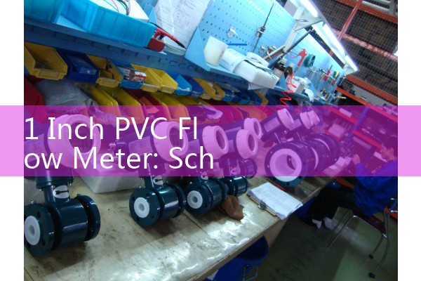 1 Inch PVC Flow Meter: Schedule 80 Chemical and Water Inline Sensors