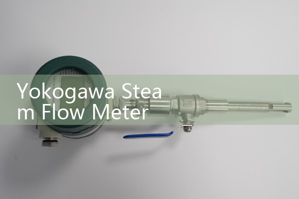 Yokogawa Steam Flow Meter