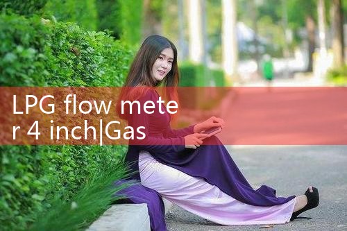 LPG flow meter 4 inch|arduino flow meter