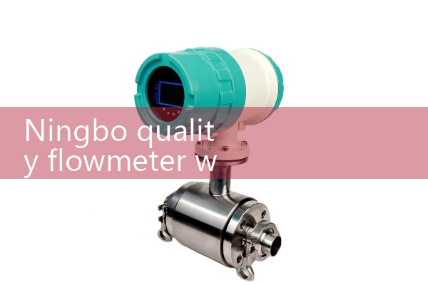 Ningbo Quality Flow Meter Wholesale Manufacturer