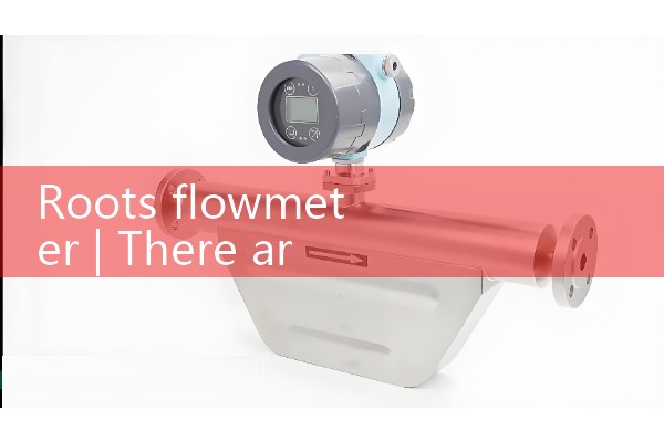 Roots flowmeter