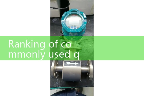 Ranking of commonly used quality flow meter manufacturers