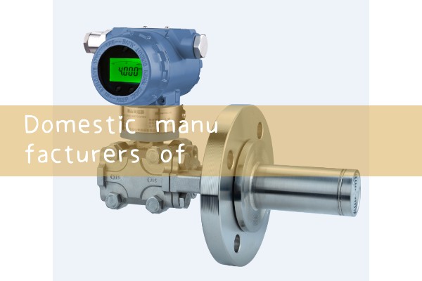 Domestic manufacturers of quality flow meters