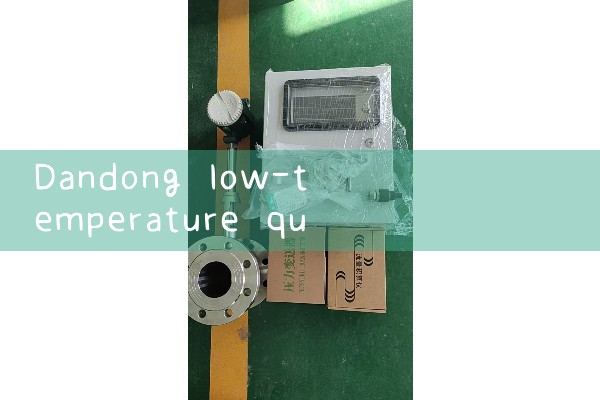 Dandong Low Temperature Mass Flow Meter Manufacturer