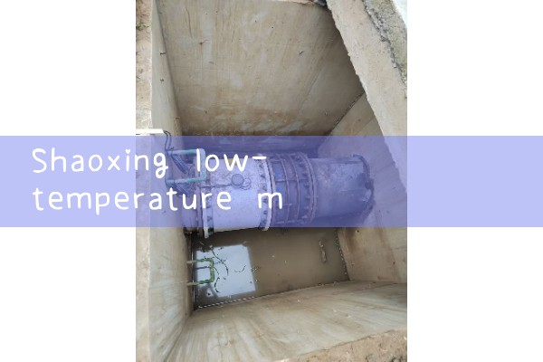 Shaoxing Low Temperature Mass Flow Meter Manufacturer