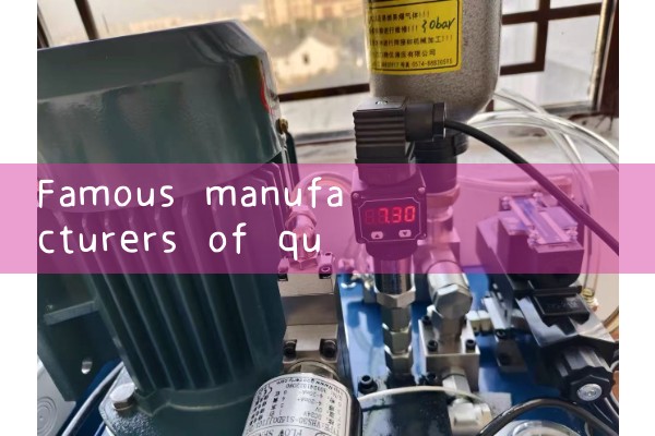 Renowned domestic manufacturer of quality flow meters